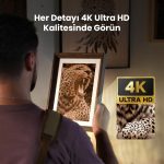 LaserPecker LP2 Plus 4K Ultra HD netliğinde gravür detayı